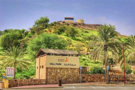 hatta hill park ticket price